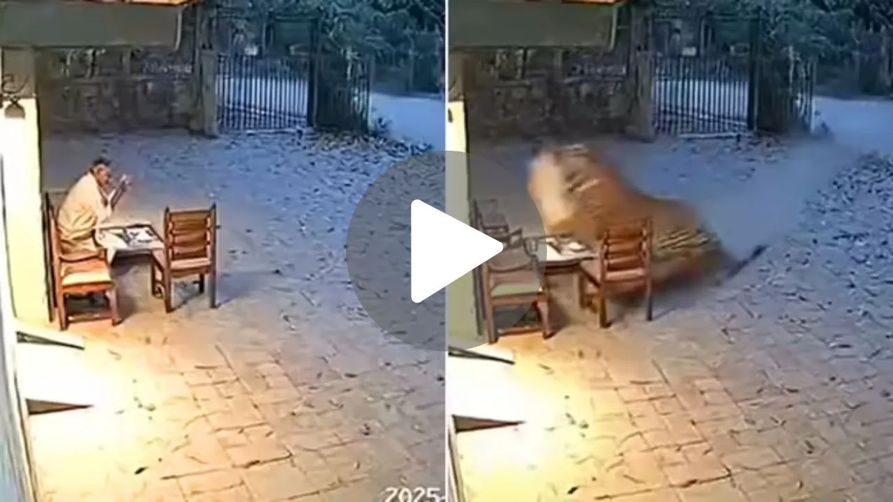 Viral News
