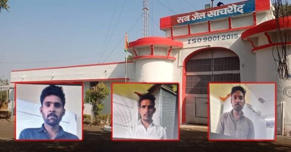 MP News