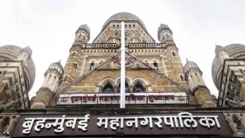BMC Elections
