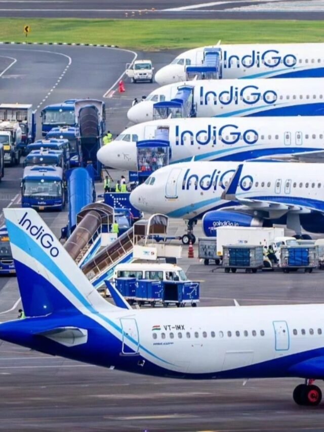 indigo-(2)-1764866768721