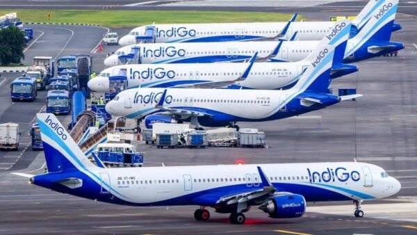 indigo-(2)-1764866768721