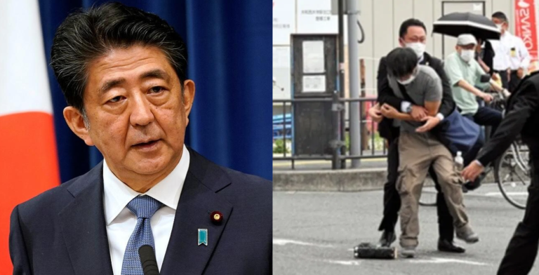 Shinzo Abe Murder Case