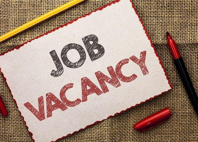 RSMSSB Vacancy