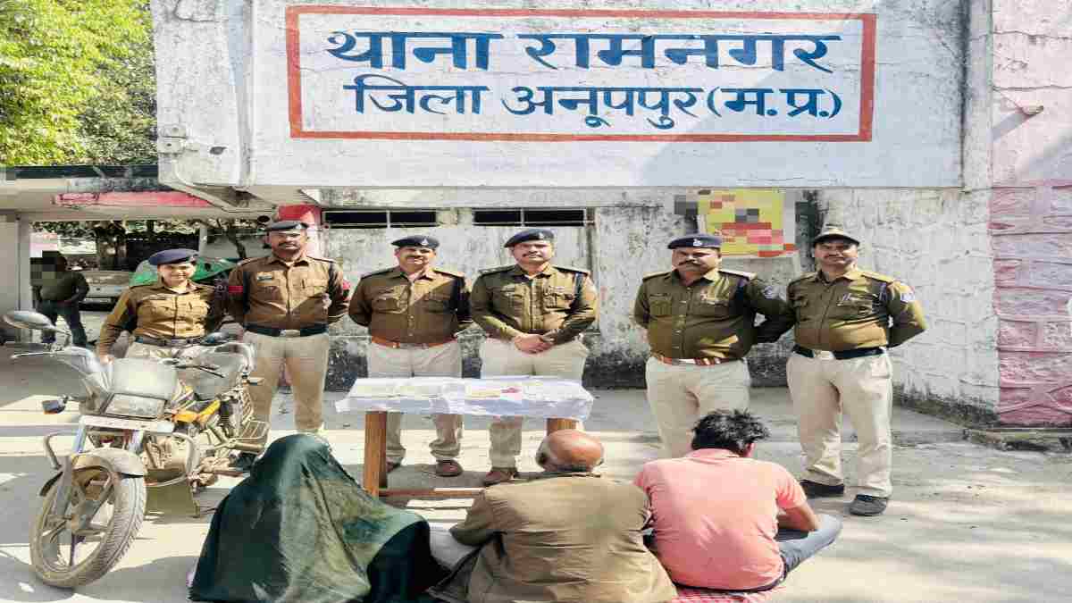 MP News
