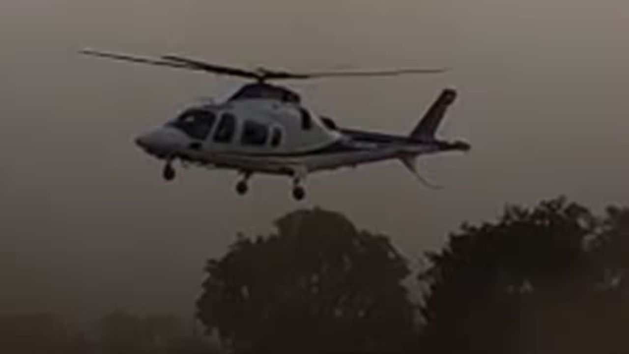MP News
