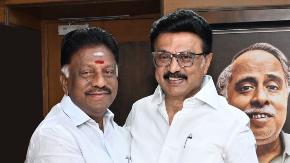 DMK