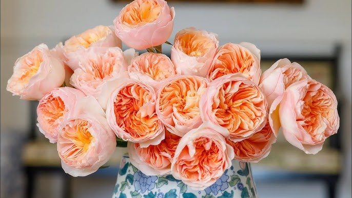 Most Expensive Juliet Rose: वैलेंटाइन डे पर जानें दुनिया के सबसे महंगे फूलों के बारे में, कीमत सुनकर हो जाएंगे हैरान, इतने में खरीदे जा सकते है कई बंगलो और प्राइवेट जेट 2 image 10