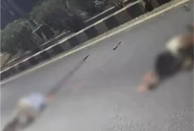 student going to appear for board exam died in a road accident