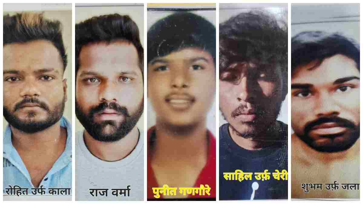 MP News