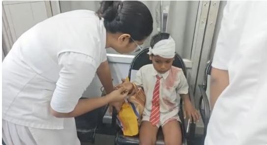 Saraswati Shishu Mandir School Van Overturns in Janjgir