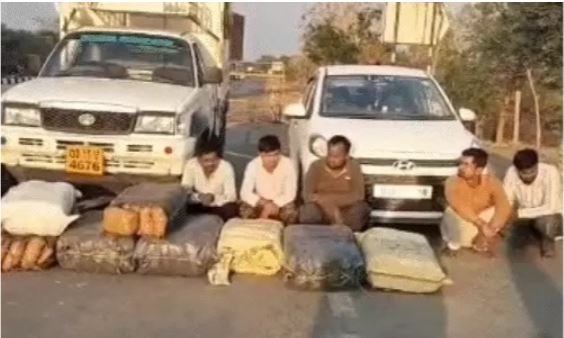 Transporting Ganja Hidden Beneath Watermelons, Mahasamund Police Search Yields Recovery