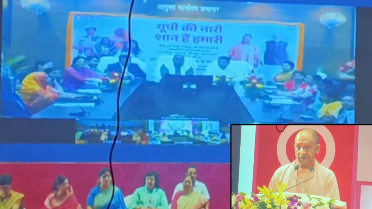 UP News