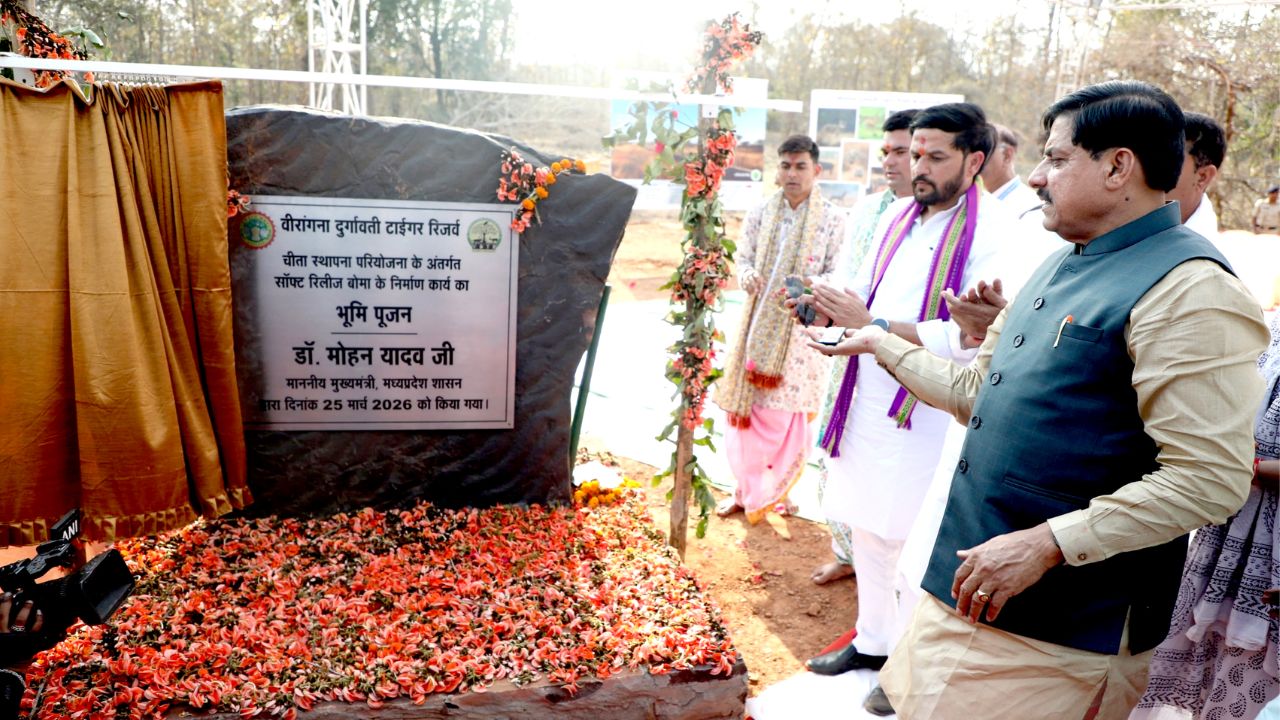 MP News : मुख्यमंत्री डॉ. यादव ने अपने जन्मदिन पर वीरांगना दुर्गावती टाइगर रिजर्व को दी बड़ी सौगात, सॉफ्ट रिलीज बोमा का किया भूमि-पूजन