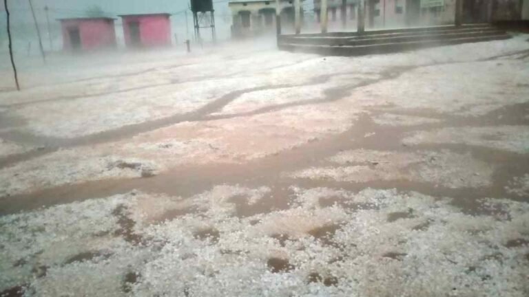 CG Weather Update: छत्तीसगढ़ में बदला मौसम का मिजाज, धमतरी-गरियाबंद में गिरे ओले, सरगुजा के कई इलाकों में बारिश