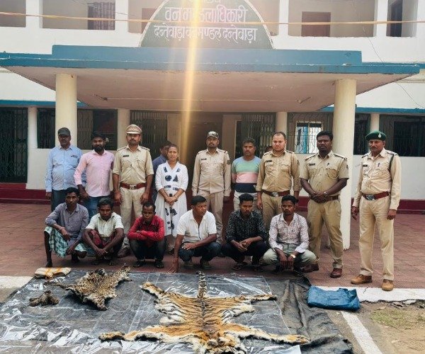 CG Forest News
