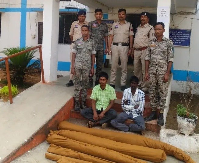 CG Crime: अफीम की खेती के बाद छत्तीसगढ़ के इस जिले में मिले गांजा के खेत, दो आरोपी गिरफ्तार