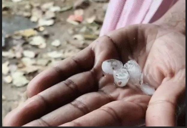 cg weather condition