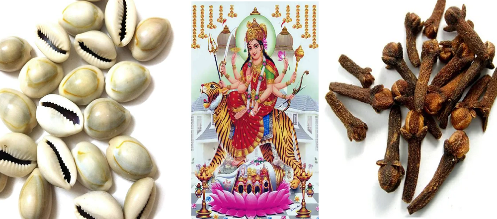 Navratri Wealth Tips Navratri Wealth Tips
