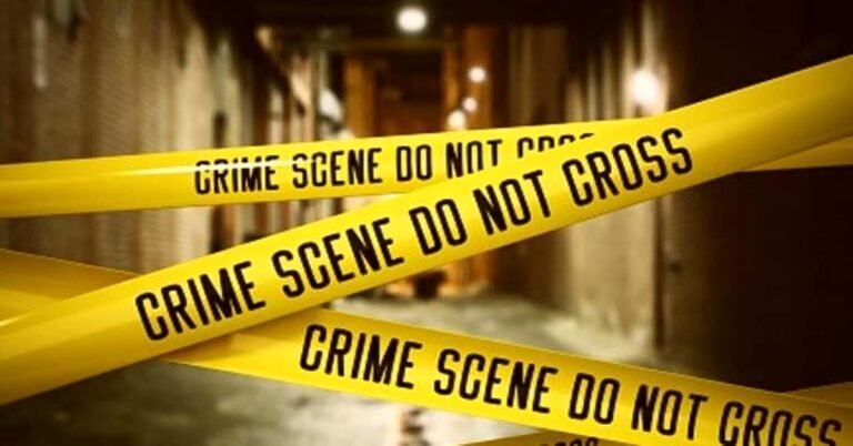 CG Crime: Son turns mother's murderer, brutally kills elderly woman in domestic dispute, goes to police station himself
