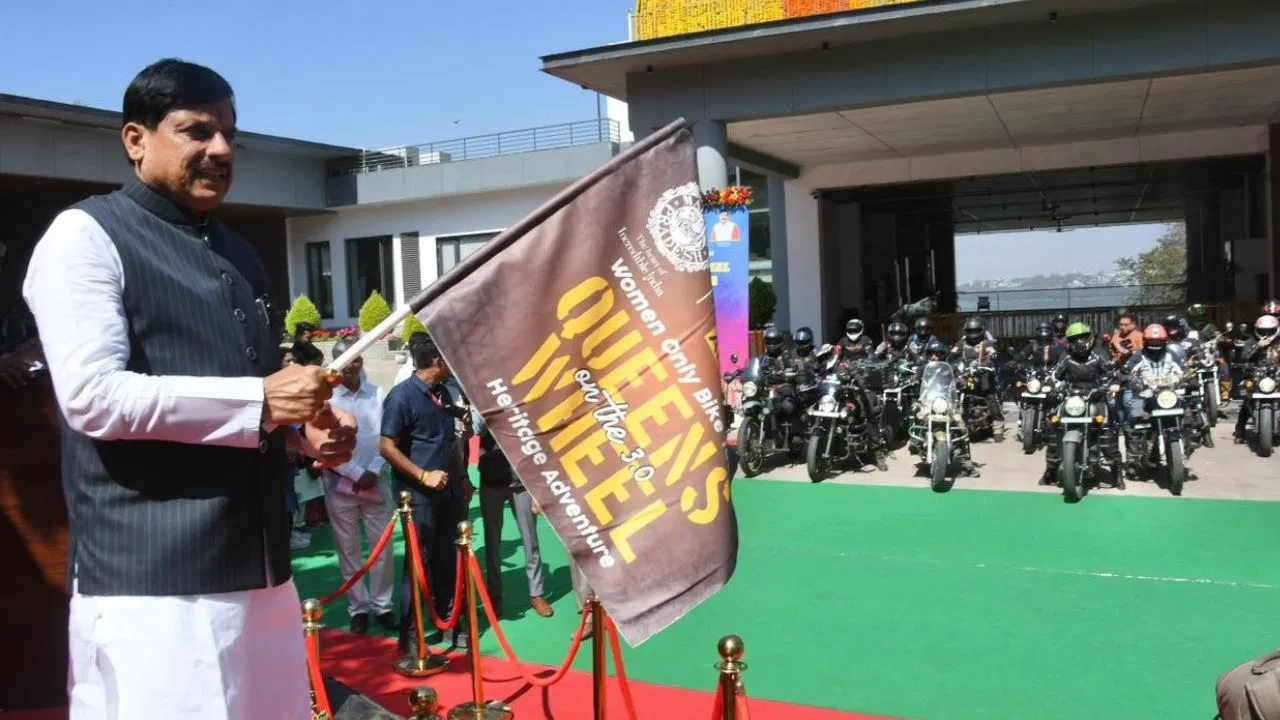 MP News