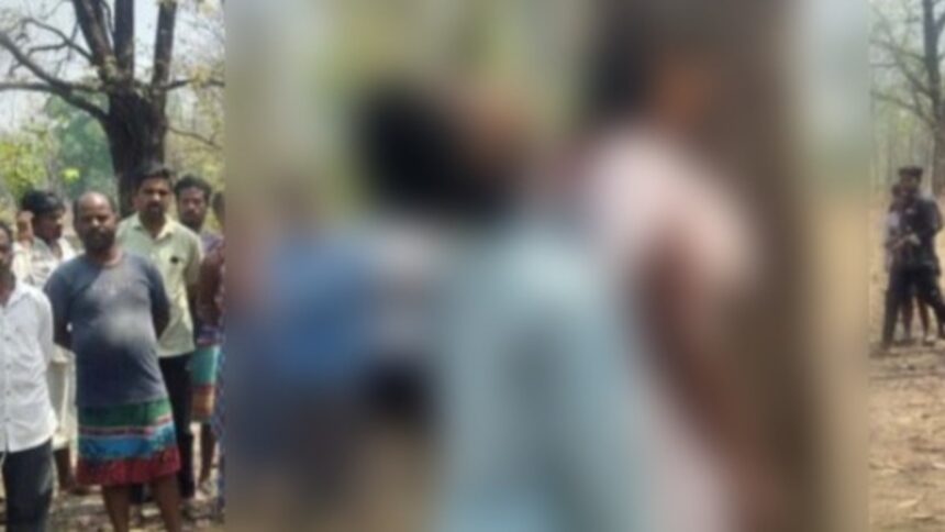 CG News CG News