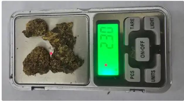 CG Crime, Another Accused Arrested from Bhilai in Hydroponic Ganja Case