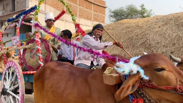 CG News: The wedding procession took place in a bullock cart, the groom gave a new message to the society through tradition and simplicity.