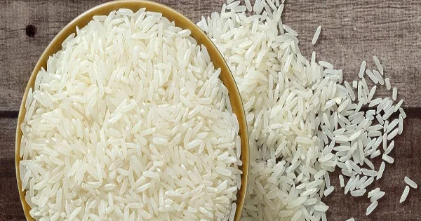 cg-news-mandi-tax-exemption-for-non-basmati-rice-exporters-in-chhattisgarh-for-one-year