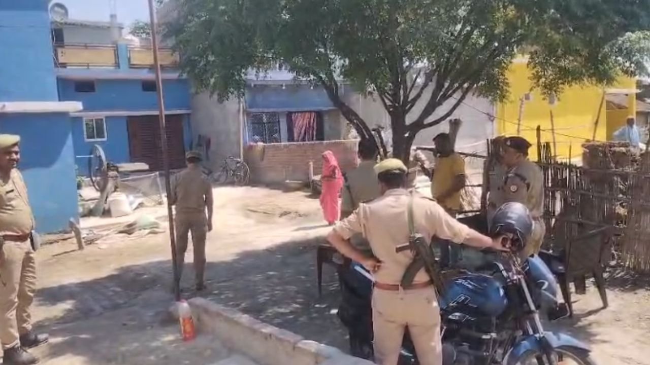 UP News