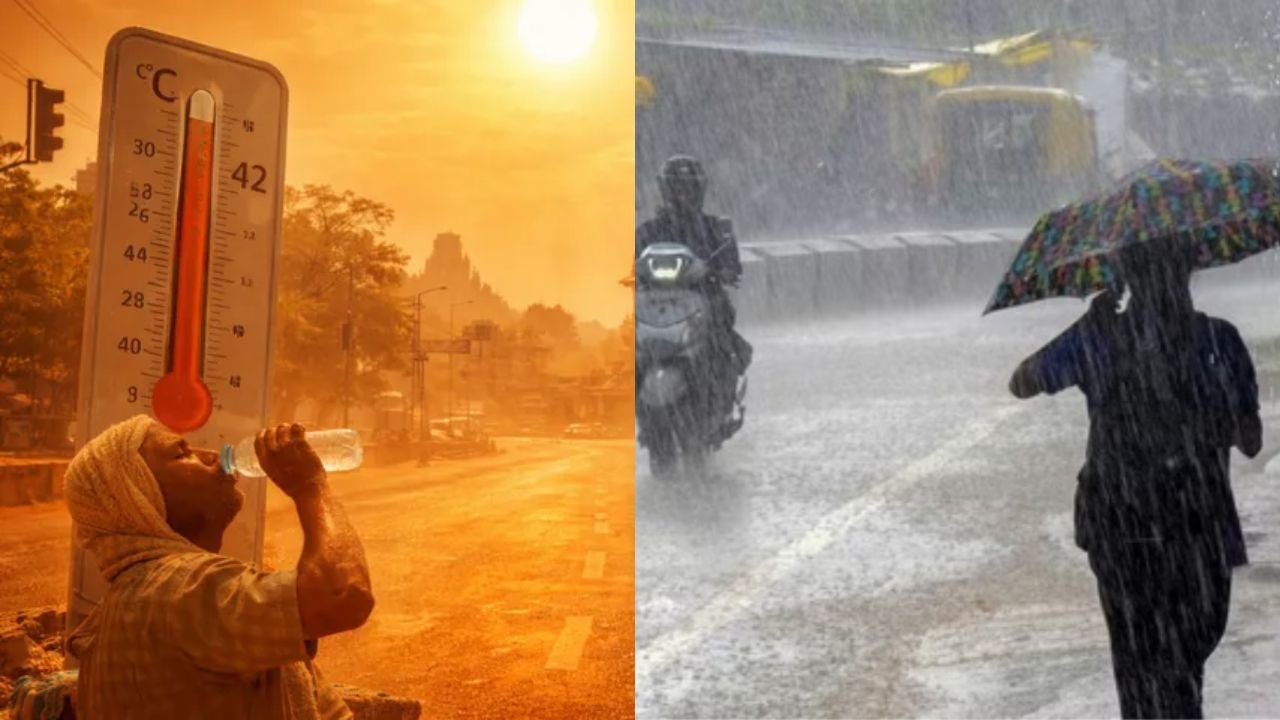 MP Weather