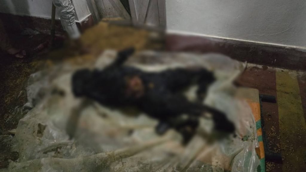 CG Crime: Land dispute takes a horrific turn, younger brother burns elder brother alive in front of mother