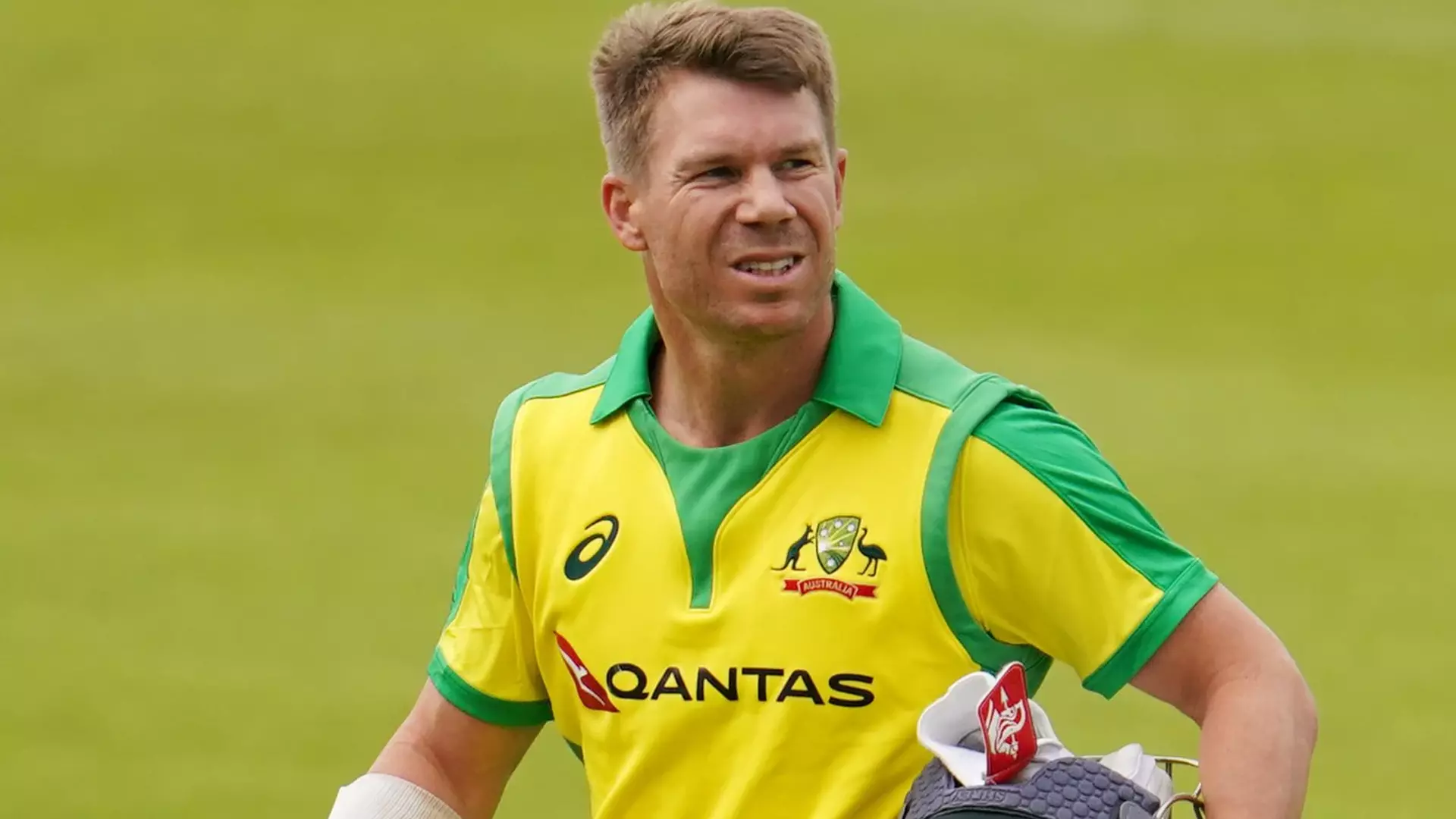 David Warner Arrested David Warner Arrested