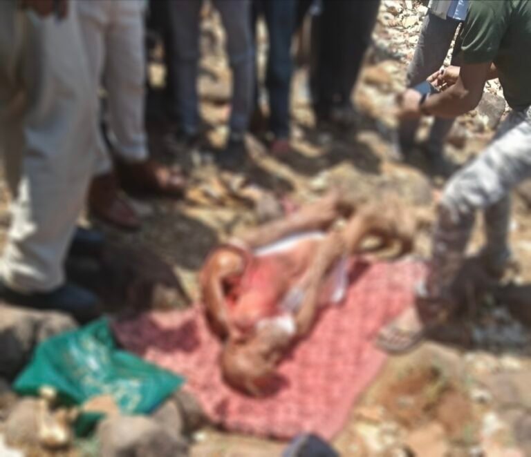 CG News: Leopard drags elderly man from home, body found in forest, panic grips village