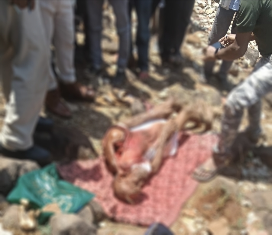 CG News: Leopard drags elderly man from home, body found in forest, panic grips village