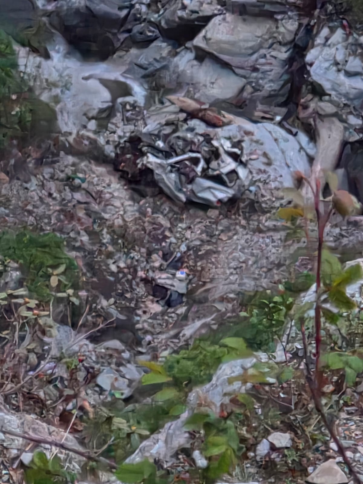 cg-news-car-falls-into-500-meter-deep-gorge-8-people-including-4-from-same-family-from-chhattisgarh-killed