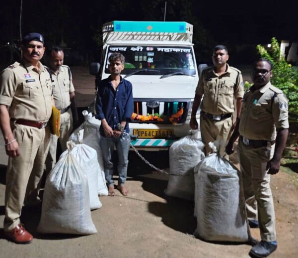 CG Crime: Pickup driver arrested for smuggling marijuana in vegetable crates, marijuana worth Rs 65 lakh seized