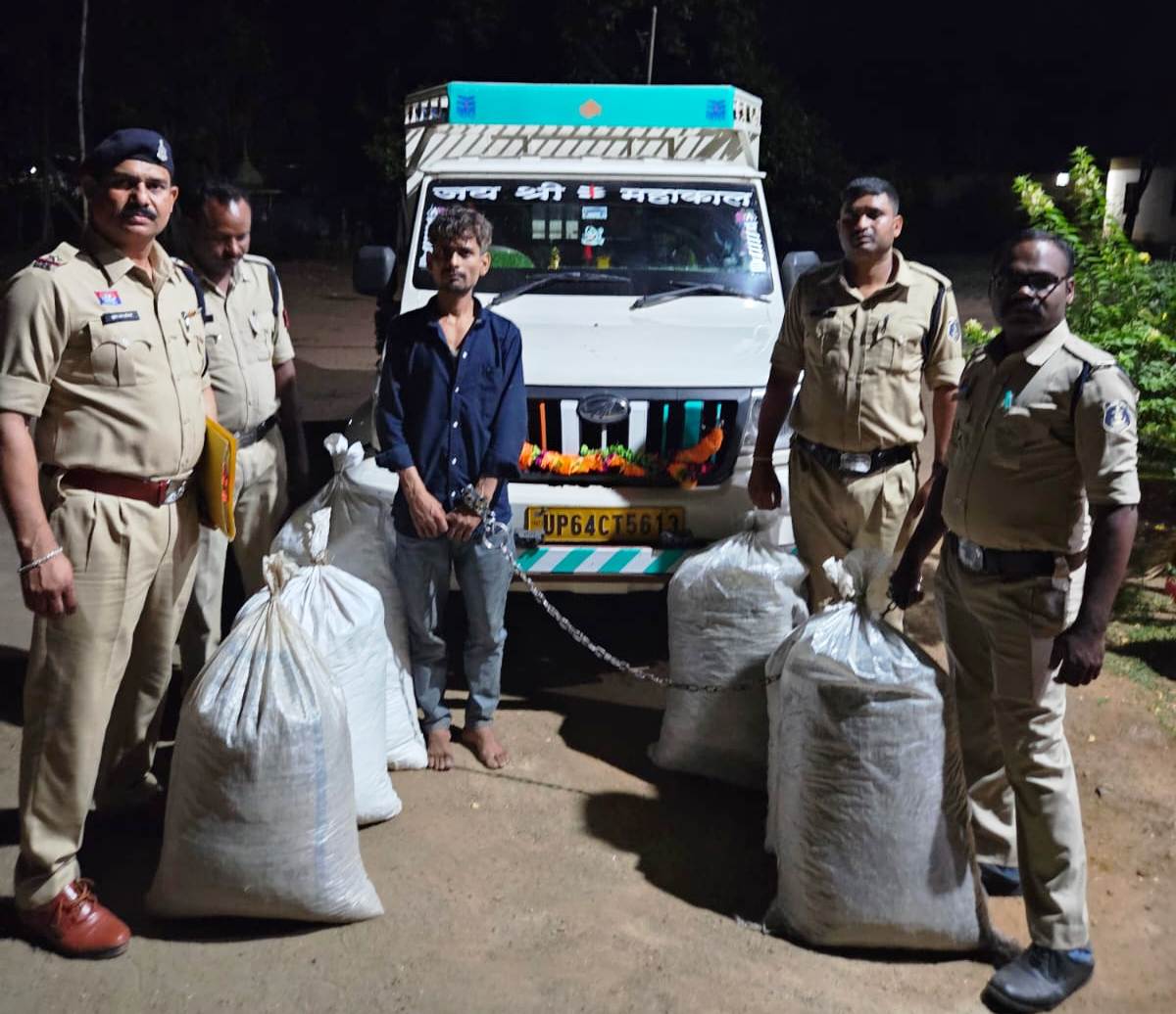 CG Crime: Pickup driver arrested for smuggling marijuana in vegetable crates, marijuana worth Rs 65 lakh seized