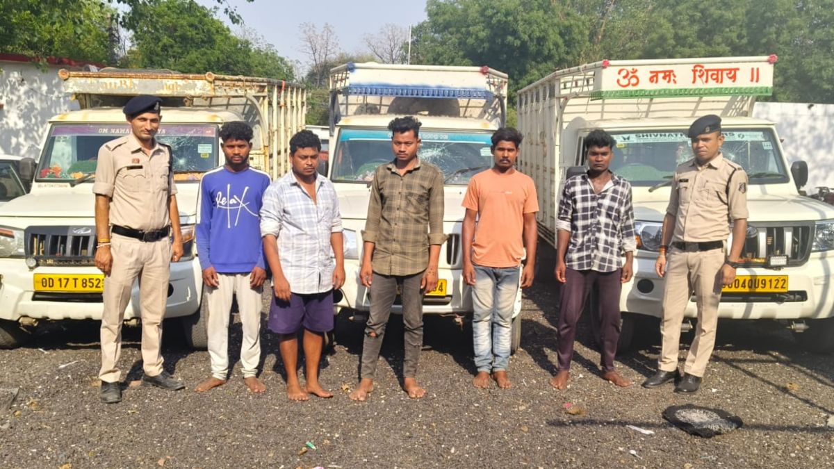CG News: Cattle smuggling gang busted, 5 interstate accused arrested with 15 buffaloes