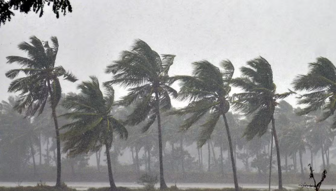 IMD Monsoon Forecast 2026: समय से पहले भारत पहुंचेगा मॉनसून, अंडमान में 15 मई तक दस्तक का अनुमान