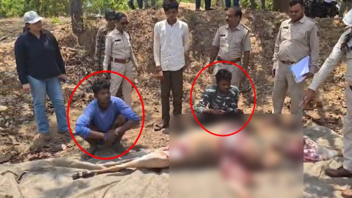 CG News: After killing the female Nilgai, preparations were being made to cook it, 2 arrested, 4 absconding.