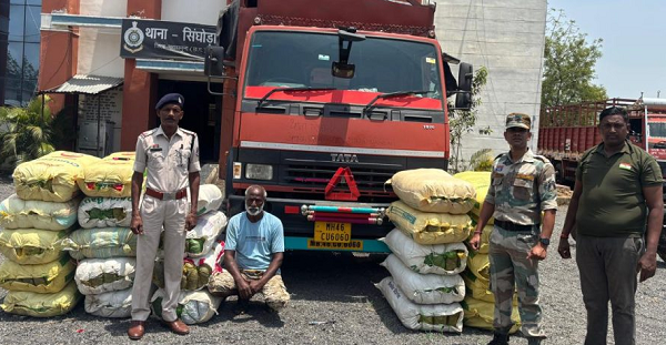 CG News: Smuggler arrested with 600 kg of marijuana, was carrying it to Maharashtra hidden in machinery cartons.