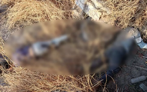 CG News: Bodies of a young man and woman found under a hill, suspicion of a love affair