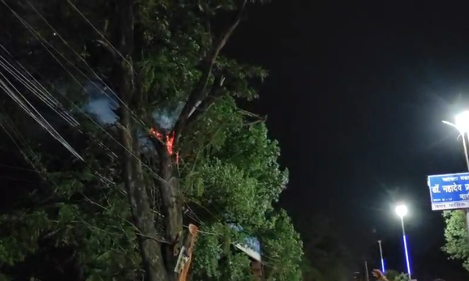 Raipur City Breaking: Tree in front of Mayor's residence catches fire, road blocked