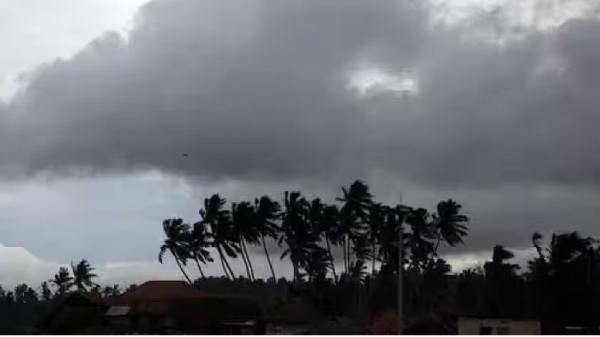 CG Weather News: Yellow alert issued in these districts of Chhattisgarh, storm winds will blow at a speed of 60 km.
