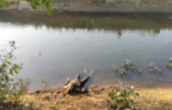 CG News: Body of elderly man missing for two days found in canal, police investigating whether it was murder or accident