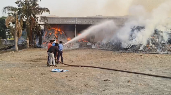 CG News: Massive fire breaks out in tendu leaf warehouse, thousands of sacks burnt to ashes, loss worth crores feared