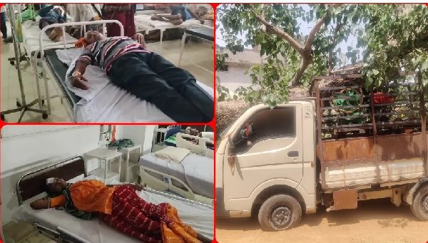 CG News: A huge peepal tree fell during the Sushasan Tihar programme, injuring 7 people including a child.