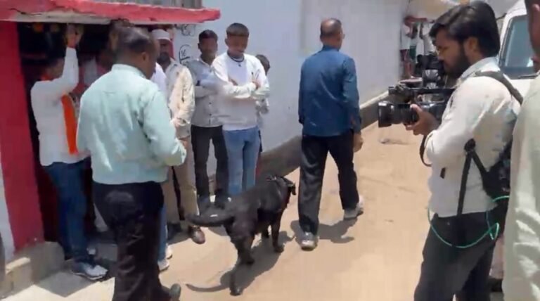 Raipur City News: Police investigate after bomb-making materials found in house