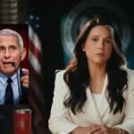 tulsi-gabbard-big-claim-on-corona-virus-funding-by-america-in-china-wuhan-lab