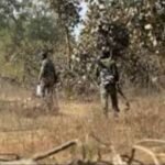 CG Naxal News: arms and ammunition recovered from Odisha-Chhattisgarh border in Malkangiri